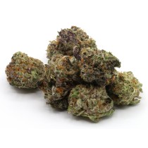 Gummy Buns *Small Buds*