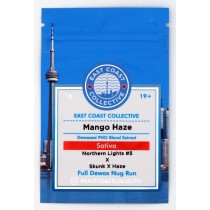 East Coast Collective Shatter *80-90% THC* Mango Haze