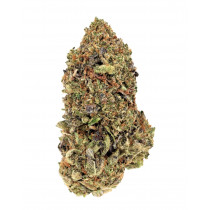 Pink Rockstar 