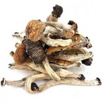 1/2 oz (14 grams) *Party Pack* - Psilocybin Shrooms