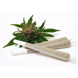 PGE Pre Rolled Joints (3-Pack) Assorted