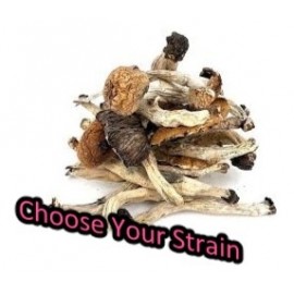 1 oz (28 grams) Psilocybin Shrooms *Special*