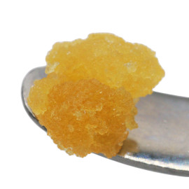 HT/HCFSE "Diamonds" El Chapo