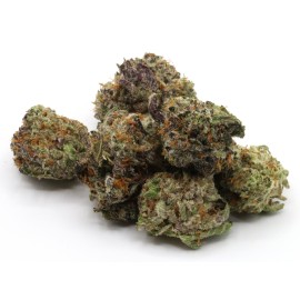 Gummy Buns *Small Buds*
