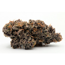 Monkey Mints - By East Coast Collective *AAAA Quad*
