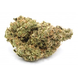 Mule Fuel *SALE*