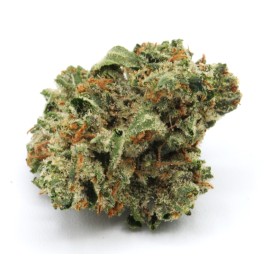 VIP Package *Silver Tier* - 1 oz - OG Kush *Smalls*