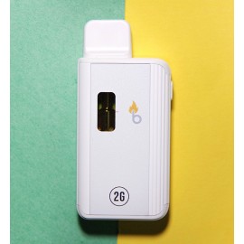 Burn Disposable Vape Pens (2g)