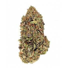 Pink Rockstar 
