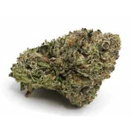 Pink Kush