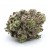 Blackberry *Smalls*