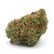 Moonshine Haze