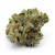 VIP Package *Silver Tier* - 1 oz - OG Kush *Smalls*