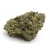 Pink Kush