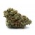 Sour Jamaican Lime